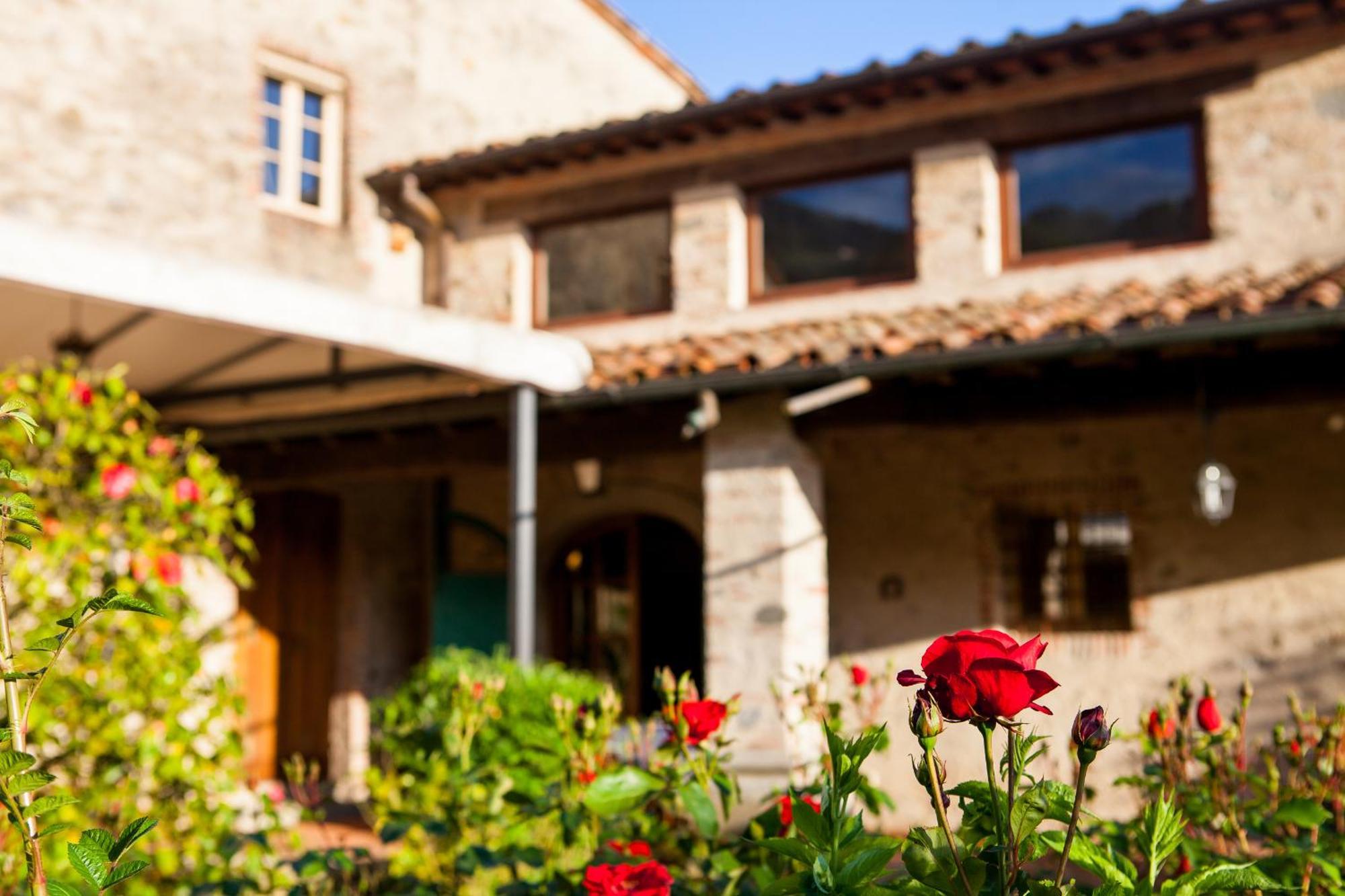 Hotel Bernardone à Camaiore Extérieur photo